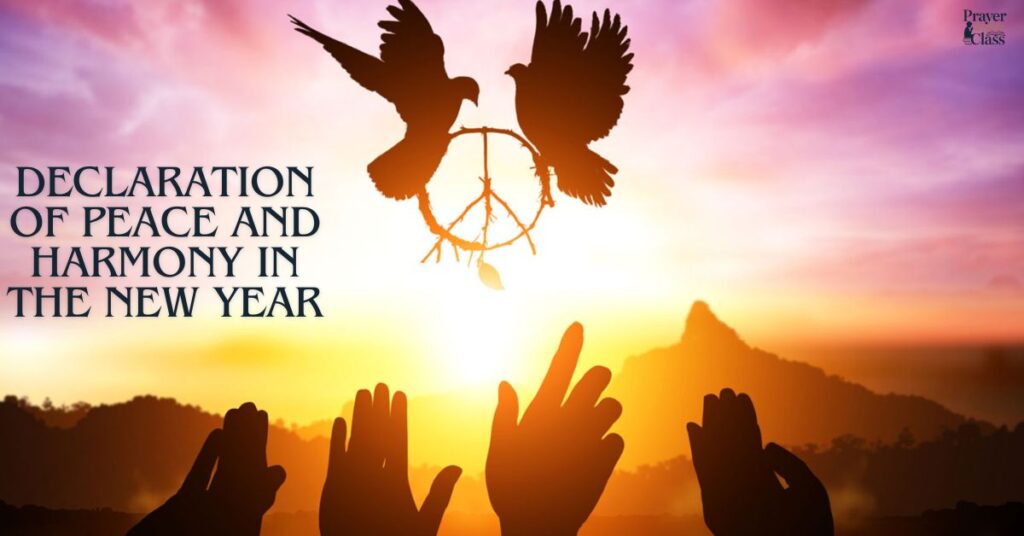 Declaration of Peace and Harmony in the New Year