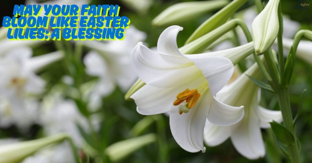 May Your Faith Bloom Like Easter Lilies A Blessing