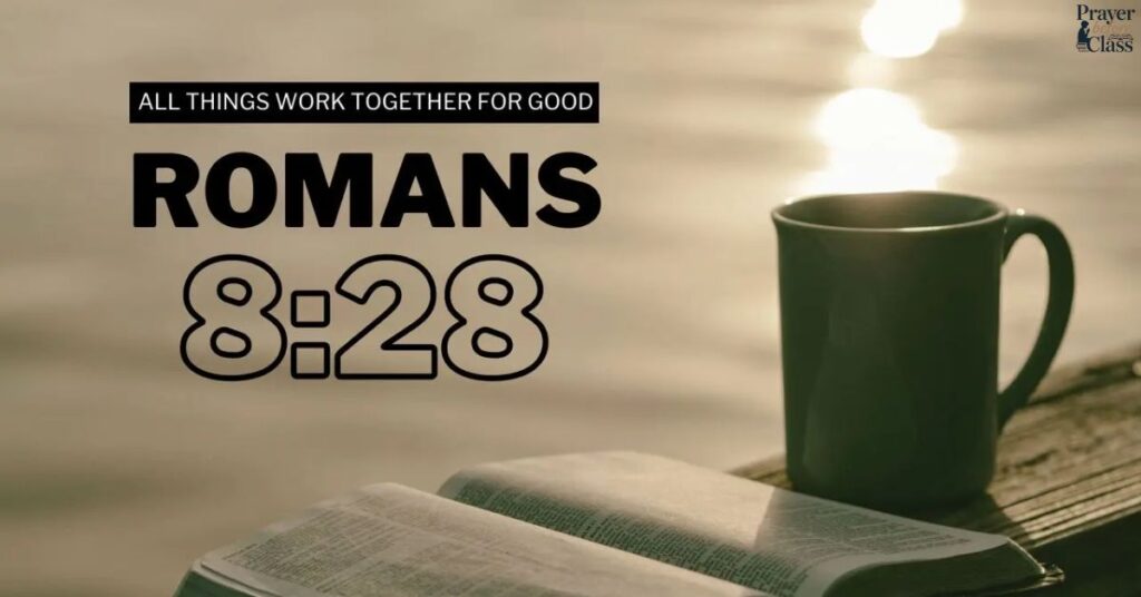 Romans 828
