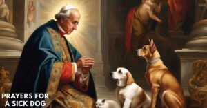 Prayers for a Sick Dog